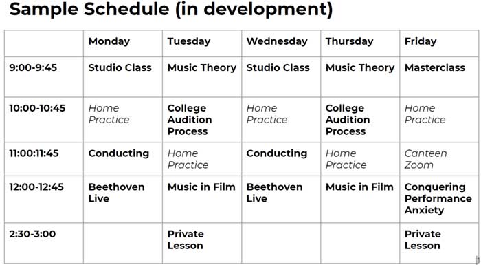 2020 Virtual Sample Schedule