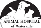 Animal Hospital of Waterville